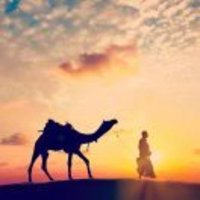 D9117473dcb4b40db26dc1e51030759cf2c1430c