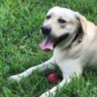 1487a6efe606262f3524cab1dd34e867483595c0