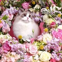 B5580a42df4845623ba14e0c979b58e51a79ef1d