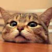 58547c39204f895620eacadf75a4cce2fa010744