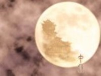 D8843d90729bb37eab5dcfcabb24659a14ec3a79