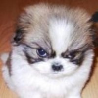 19cac816d444f4d32642e651fc1f238972297f5c