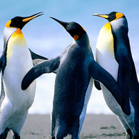 63ddb5c2a62313a73c3ec8d151c406be81af7781