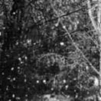 1699e0c8e0661015c9e252cbdbb8801c3f036b4b