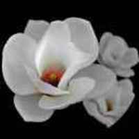 3a9f89b99de667f719253a99a554f9605d3bd62f