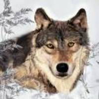 50121d95e519ff4abc2cc2bb8b5007ace05cbdfa