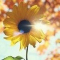 03eb1beca256dc1d9f1271c76a5e9750c48e18d1