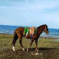 233684a169318a6f9e8bba38ac770a8ec2786957