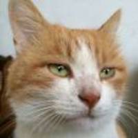 Ecaee96326d6662e09734f5b38b0c18f67206770