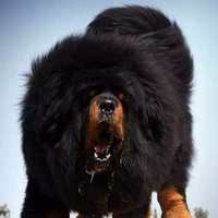 E8432a35947a8c9ad5e9d20c973610472f754761