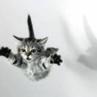 863183584ad4a10c4a58f4be2c48e7f090122468