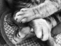 5e00e79b947f3218211da089ff2afdb323fb3e4c