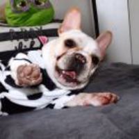 087ab2fd08b3263f4eb334241f68e5b5b8885676