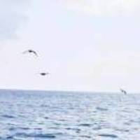 A2f3f1856c1e498e13b1bc335041e8309759f24d