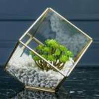 35d252c39ffb3d98b86faaa9b0c21091a82db58e