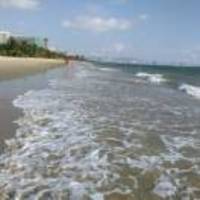 981e6576bab7958ccf901206724c53df0b13c04e