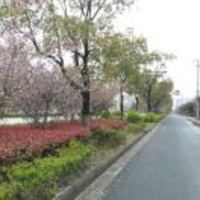 2253ef8c70fbed7dff82013803d2a61f2477d15e