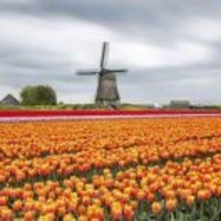 Ec4afa7fd43f9102dbbba9cfbad835c48caab875