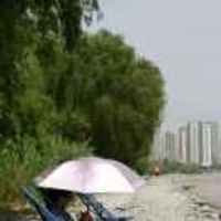 98a5a1ea472f86957fc0984fd04eddceedd45709