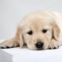 A2c90306b7f95d3b5373b3fe666fda1d113d963f