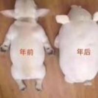 E65e0f2021a2221121b668b9e70bde178ef65737