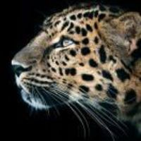 63a7734fc2da090d5972d13a1e975c44c5267447