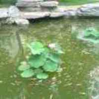 773de5e8d80117294328f0f5a61523e78a34b050