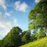 2ad9d6a58a7676fe99e0bf3ce5c1baea64a4d0ec