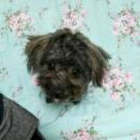 78acbcd076183b4c00903e49745b7cec7492a1b2