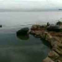 1f15cc1a31676f734b6436dcec13f78a253d4bae