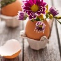 D2b87a683e141276acc23dbe4a8d22ba7d8a1314