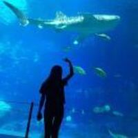 Cd7bf460a9ac6bbbf5ac7ff4ad01c3b142446ca7