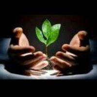 1193bb539c37de2f85ec0c46efd32c9932dd7e62