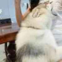 E511949c1072172c7b4d002472edf98f3beb7a9c