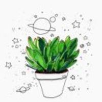 75b567d35fa2995871ddad72037ea34a96a248e3