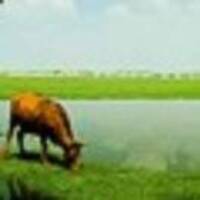 21a8a3de341b4222b09ebc1ae55b9069e1ba9277