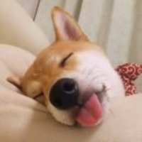 31ea5f8b5e8f17bde1dc184ec1e06729ace2a970