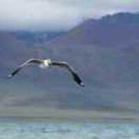 E07d39237a879a45e395439f09d2f340c7cd265e