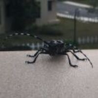 F8c1424e6388214a09bd25113f4c0c14b52930d4