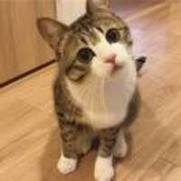 94be80b3ba9ba602aa2562e1b4cbf0ab7aa895e0