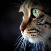 5f86189b8067f0952d9b049d321343bcecee6dd6