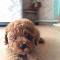 E38f94bf129fc8e3e1d1ab5d1a857e91f7950d64