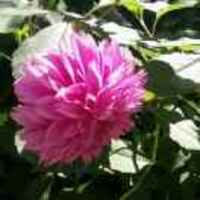 537fee836a2ea75c4595c1913b0ef862b12cb93a