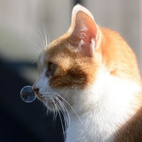 D26afddc01209d572f39fd1fa27cd9534bcd3861