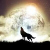 A7c474e4fbcb8d9af242de2db6aae329dabd4686