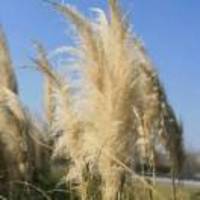 9722463cc906ca03223b544544ca76407ddc28b5