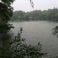 3f15262c9ab0710c9e34890ad51fcdf954cf9044