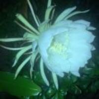 444032b3bfb2c2b95cea57d9b6e9fa64a582d1c5