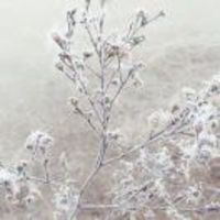 730486957970a1aa3f9904b9e8e7af15cb4b2206