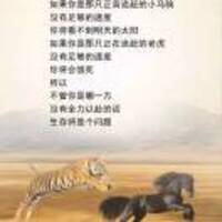 D5029b1150d144717a2af0fb95cc37e8404d37b8